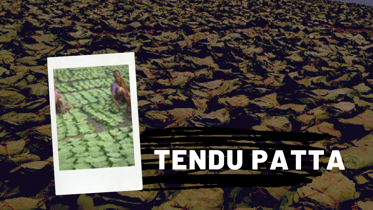 20200918_161539_0000