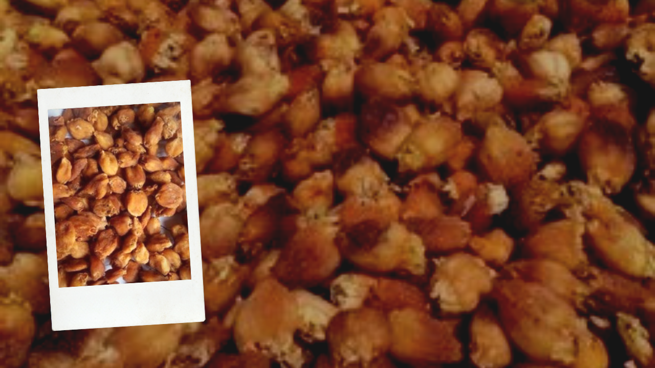 20200919_161958_0000